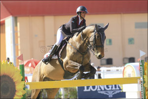 12th Week of Show Jumping Competitions Hosted in Al Ain This Weekend