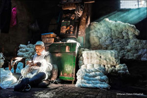 Hamdan bin Mohammed bin Rashid Al Maktoum International Photography Award and Huawei announce the winners of “Huawei Moments” Instagram Photography competition