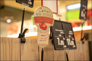 Second Week of “Health & Tourism 2019” Campaign Witnesses Remarkable Participation in its Awareness Activities