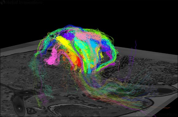 Lenovo and Intel Power a New Era of Computational Scientific Research
