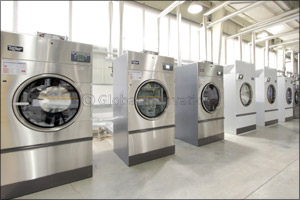 Get Ready for Fun Filled Festivities with Champion Cleaners