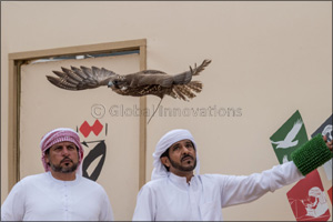 Jaguar Land Rover on Tour Sheikh Hamdan's Falcons Dominate Hurr Category in Fakhr Al Ajyal (Pride of the Generation) Championship for Falconry To Mark Two Years of Carbon Neutral O