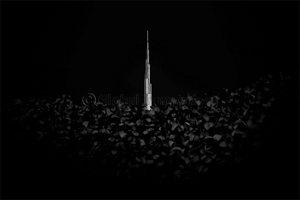 Riyas Muhammed is the UAE National Award Winner at Sony World Photography Awards 2020
