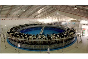 New National Geographic Abu Dhabi Film ‘Marmum' Takes Viewers on the Journey of Creating a State-of-the-Art Dairy Factory in the Heart of the UAE