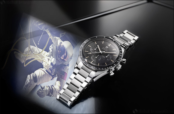 Landing for the Moon Anniversary!