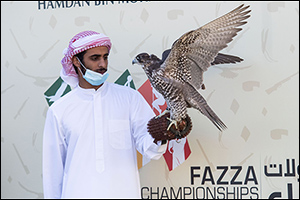 Sheikh Hamdan's Falcon named Antar Finished Strong at Fazza Championship for Falconry in Dubai