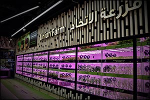 Union Farm: Union Coop's Latest In-house Organic Farming Concept Debuts at Al Warqa City Mall