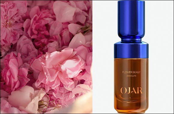 A New Statement on the Perfume Landscape