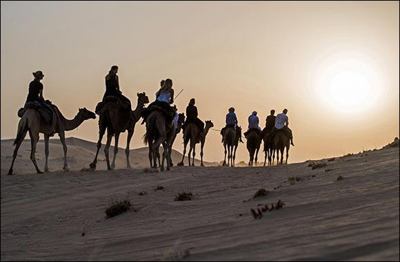 Registration for Camel Training  is now Open