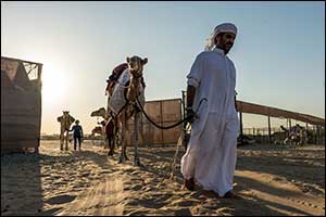 Registration for Camel Training  is now Open