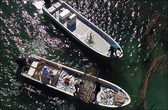 Abu Dhabi Media to Air Environment Agency - Abu Dhabi's New Documentary: 'Our Sea....Our Future'