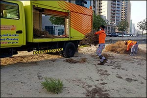 Dubai Municipality Carries Out Campaign to Clean Main Roads