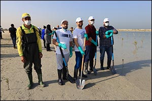 Dubai's Department of Economy and Tourism and Dubai Municipality Join Hands During Mangrove Planting Initiative to Mark the UAE's Golden Jubilee