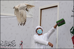 Competition heats up at Fazza Championship for Falconry in Dubai