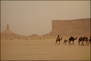 Is Online Gambling Legal in Saudi Arabia?