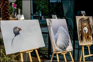 Kuwaiti Photographer Displays Wildlife Photos at Expo 2020 Dubai