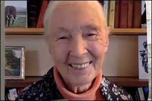 Dr Jane Goodall Delivers an Important Message of Hope at the 2022 Procter & Gamble AMA Sustainability Summit
