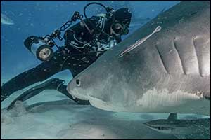 Xposure 2022 hosts first Conservation Summit to spark positive change through photography