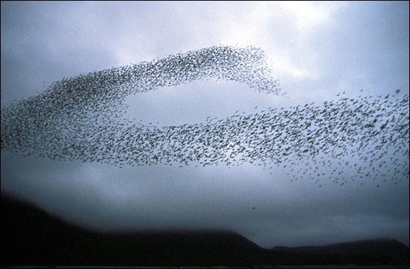 Researchers Quantify the Impact of Stubborn Drones