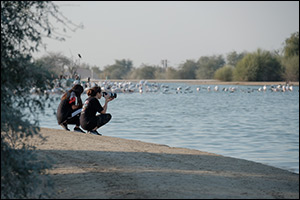 Emirates Nature-WWF Urges Organisations, Businesses, and Individuals to Join Leaders of Change – UAE's Biggest Movement for Nature – This World Environment Day