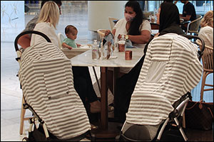 New to the Market Virusshield Stroller Cover Offers a First of Its Kind Solution for Vigilant Parents of Infants in This Post Pandemic Era