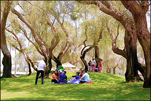Dubai Municipality's Parks and Facilities Witness a Record-breaking Total of Over 15 Million Visitors in the First Half of 2023