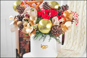 Experience the Magic of Christmas with IGP's Exclusive Festive Gifts!