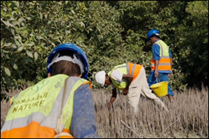 Dendra, International Environmental Technology Leader, Successfully Completes First Annual Restoration Cycle in Support of UAE's 100 Million Mangrove Initiative