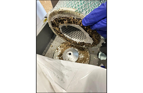 Dubai Customs Unveils Smuggler's Ingenious Ploy: 4.25 Kilograms of Marijuana Concealed in Vehicle Engine Filters