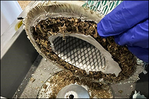 Dubai Customs Unveils Smuggler's Ingenious Ploy: 4.25 Kilograms of Marijuana Concealed in Vehicle Engine Filters