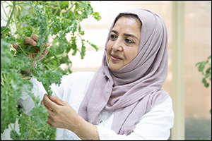 Dubai Municipality announces winners of ‘Dubai's Best Homegrown Produce Competition' held under Dubai Farms initiative