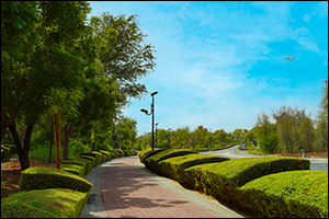 Dubai Municipality witnesses over 16.3 million visitors to its parks and facilities during H1 2024