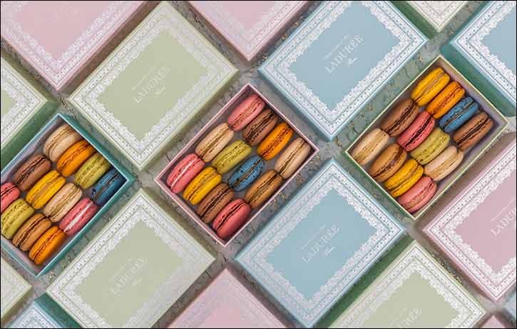 An elegant tribute to heritage, artistry, and the inspiring women shaping the UAE's future