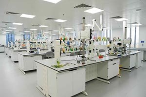 Himalaya Drives 20% Regional Revenue Surge Through Localized Dubai R&D Innovations