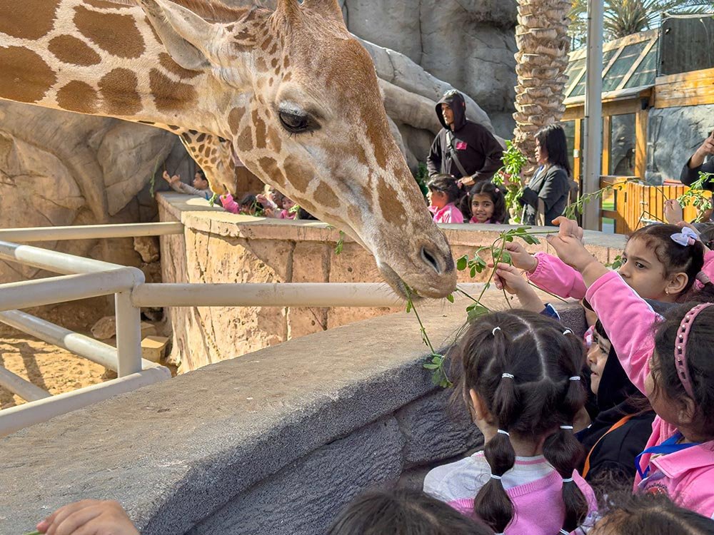 Emirates Park Zoo & Resort Strengthens Its Educational Programmes To Bring Learning Beyond The Classroom