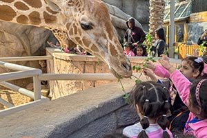 Emirates Park Zoo & Resort Strengthens Its Educational Programmes To Bring Learning Beyond The Classroom