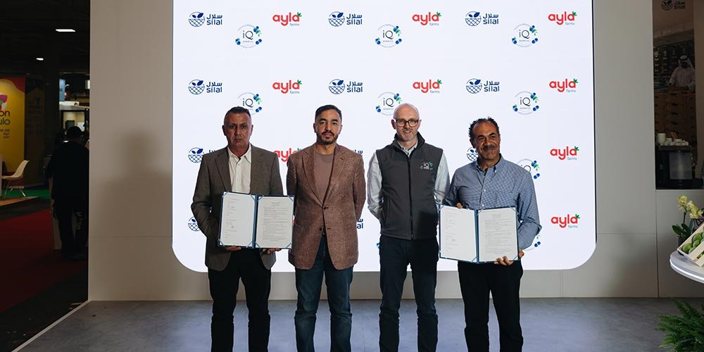 Silal Group Expands Blueberry Production in the UAE Through Partnership with IQ Berries