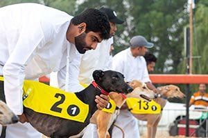 With Strong Participation Across Professionals, Owners and Amateurs Categories Saluki Championship Concludes First Stage of 20th Edition Qualifiers