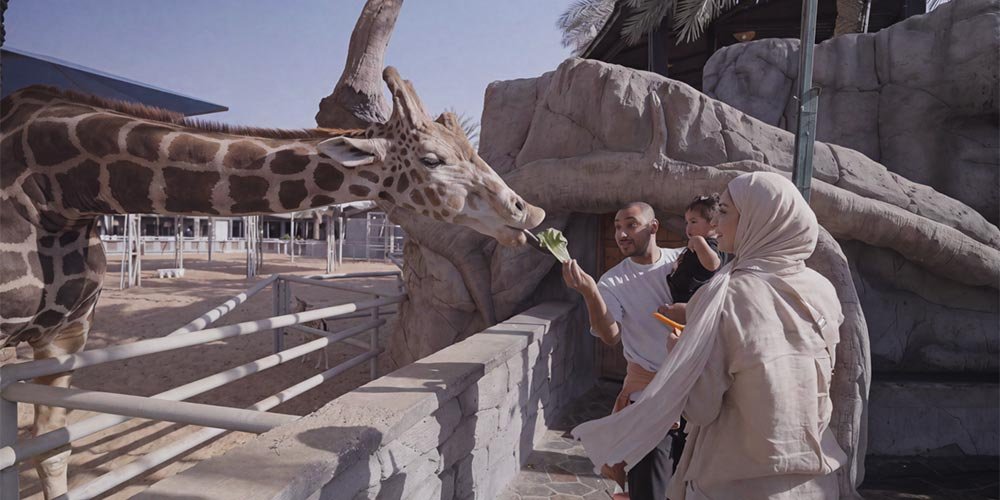 5 Things to Do at Emirates Park Zoo & Resort in Abu Dhabi This Winter