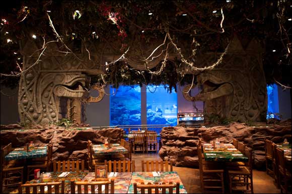 Enjoy an iftar with your family at the Rainforest Cafe