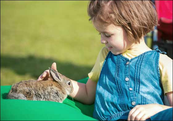 Al Tamimi Stables opens its doors for the new season with a special Family Fun Day