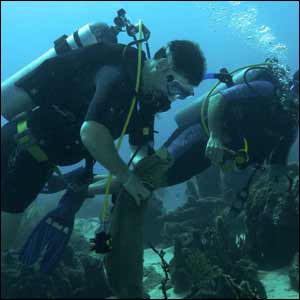 World Underwater Clean Up Day hosted by Skydive Dubai