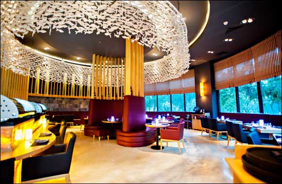 Watatsumi Offers the Unique �Friday Omakase� Brunch