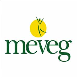 MEVEG Congress Promotes Natural' and Healthy' at MENOPE 2013*