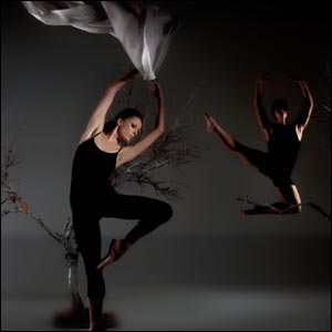 For The Love of Dance