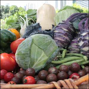Farmers' Market on the Terrace returns for fifth season at Jumeirah Emirates Towers