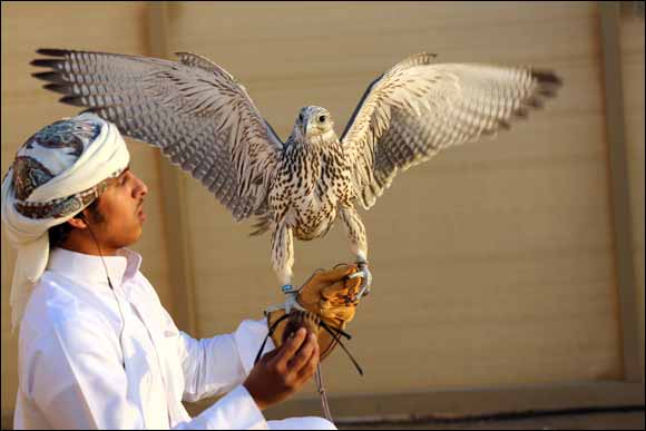 Fazza Championships for Falconry Kicks Off with RC Airplane Speed Race and Other Four Categories
