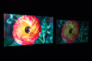 New Dolby Vision Technology Helps Content Creators and TV Manufacturers Deliver Images with True-to-Life Brightness, Colors, and Contrast