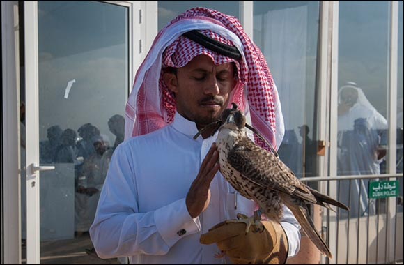 Qatari and Saudi Falconers Star in the GCC Categories at Fazza Championships for Falconry in Dubai