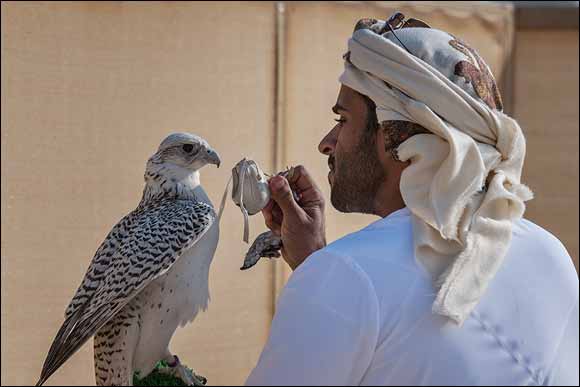 Thrilling finale brings curtain down on Fazza Championship for Falconry